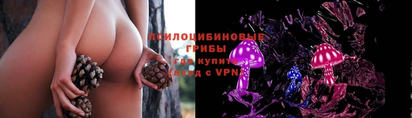не бодяженный Зеленодольск