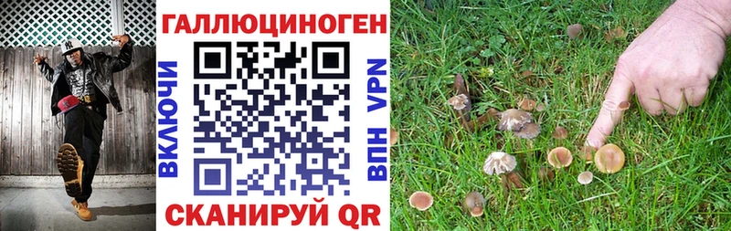 Галлюциногенные грибы Magic Shrooms  Благодарный 